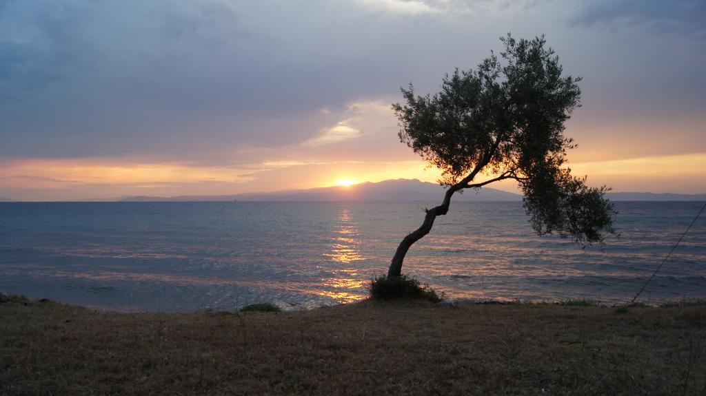 Villa Marianna Σκάλα Καλλιράχης Εξωτερικό φωτογραφία