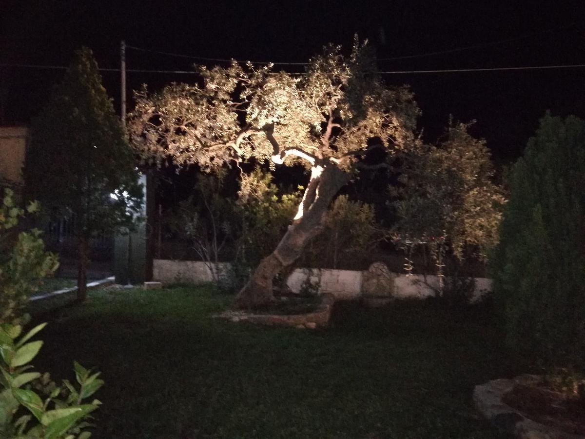 Villa Marianna Σκάλα Καλλιράχης Εξωτερικό φωτογραφία